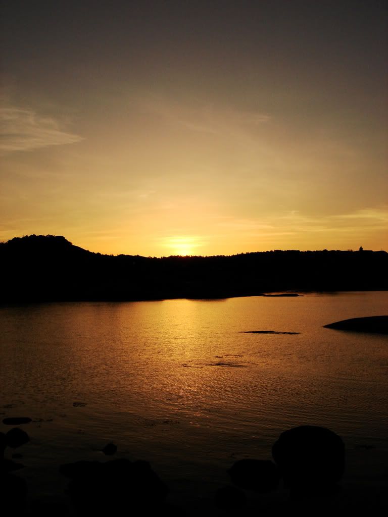 Photo.