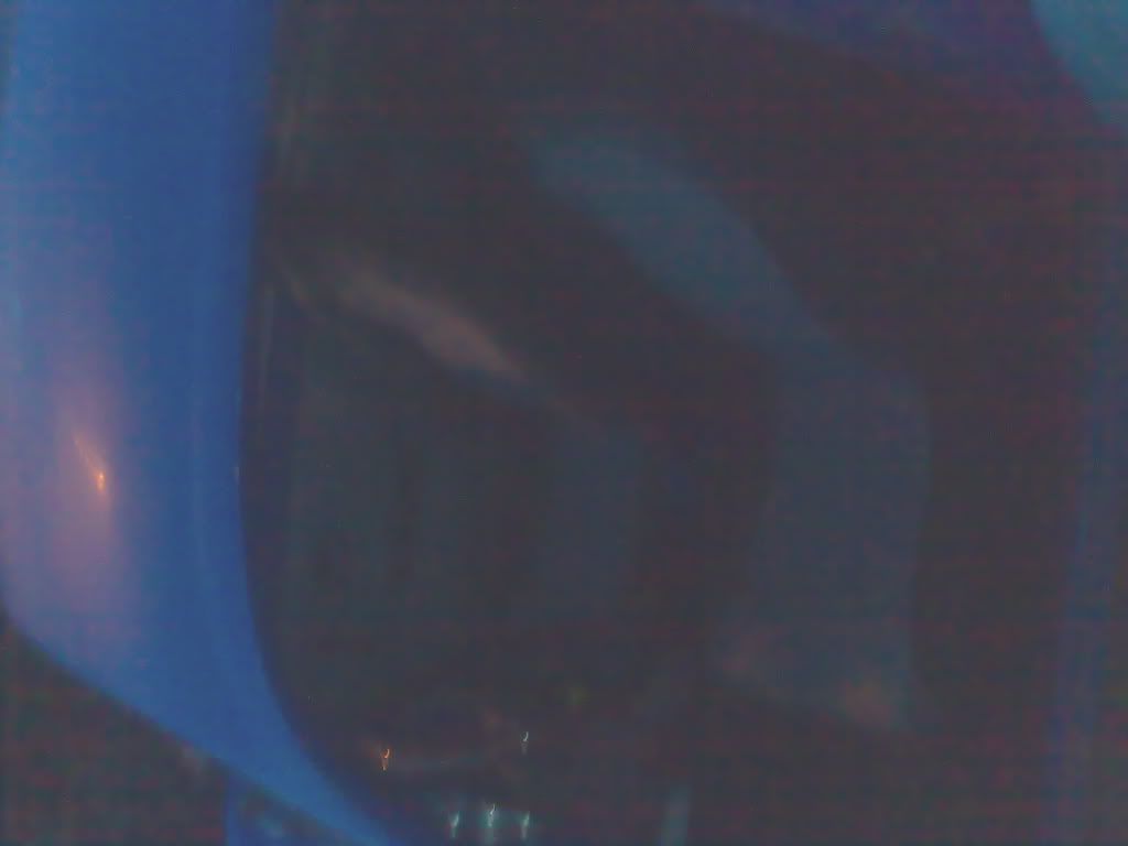 25092008060.jpg