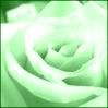 greenrose.jpg green icon image by xrachie_xx