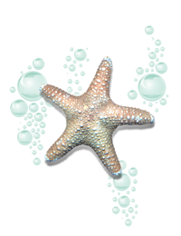 TTT Mermaiden