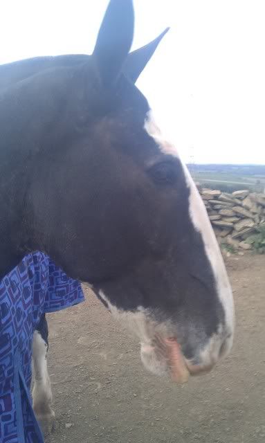 My Weekend - Trip to see Tilly,...