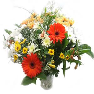 cheerfulflowers.jpg?t=1233790600
