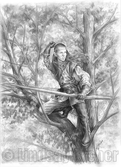 elven archer Pictures, Images and Photos