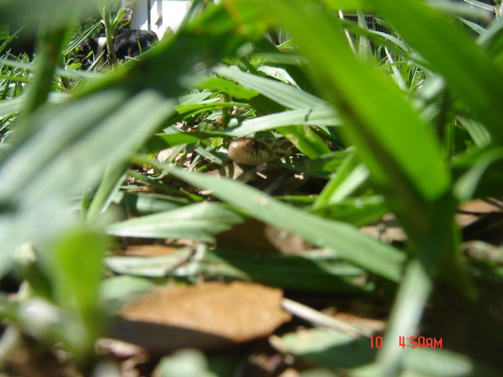 DSC08940.jpg