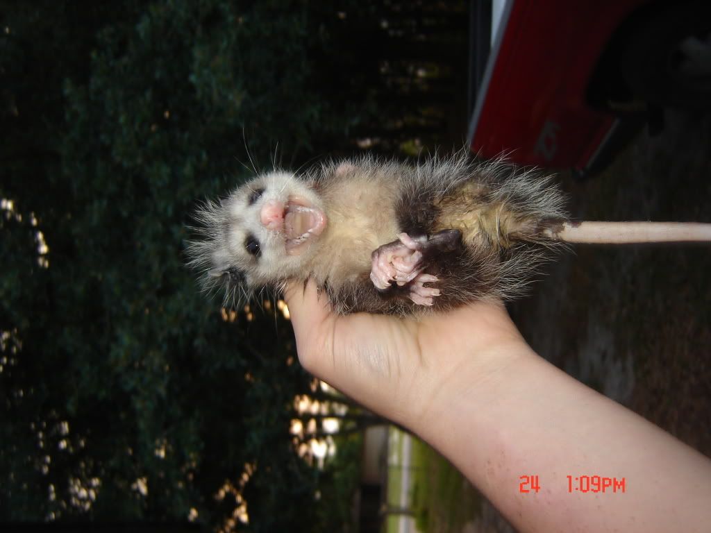 DSC08975.jpg