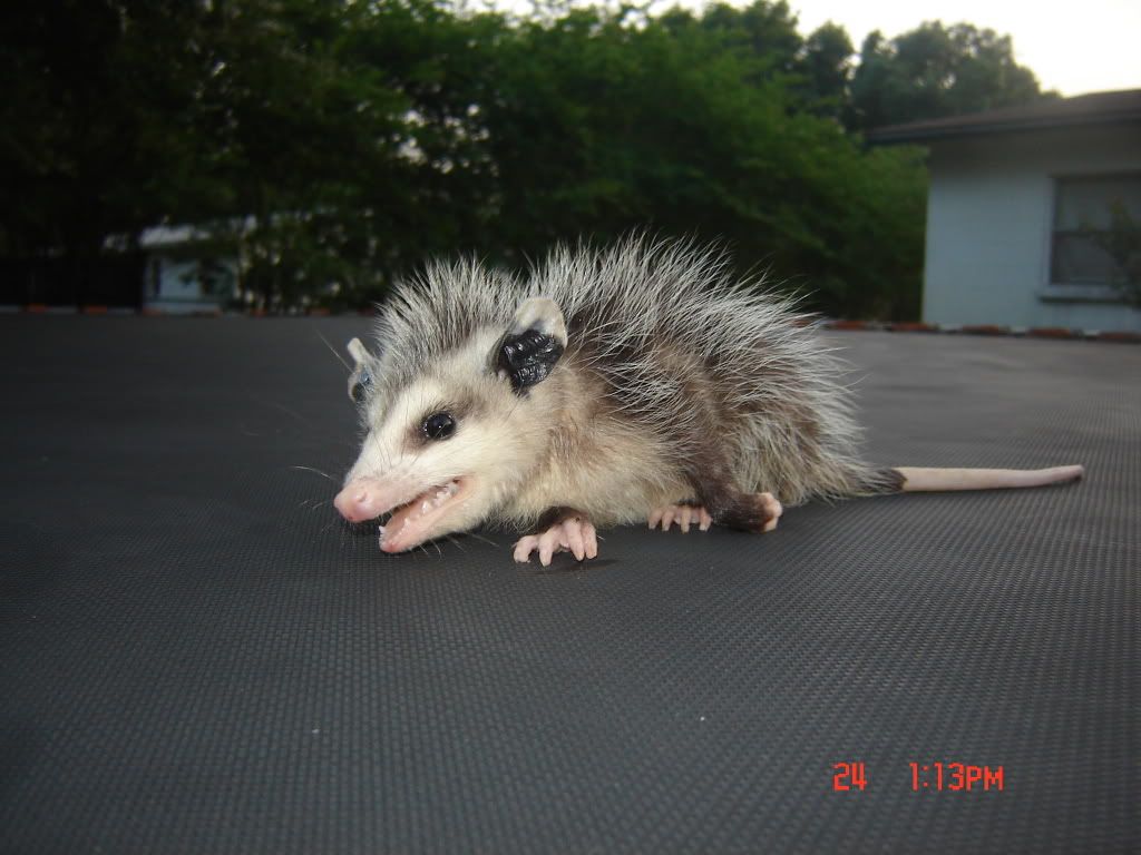 DSC08979.jpg