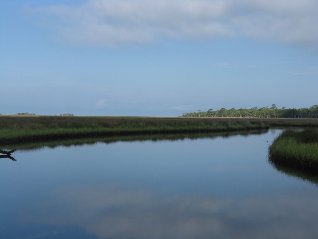 IMG_0487.jpg