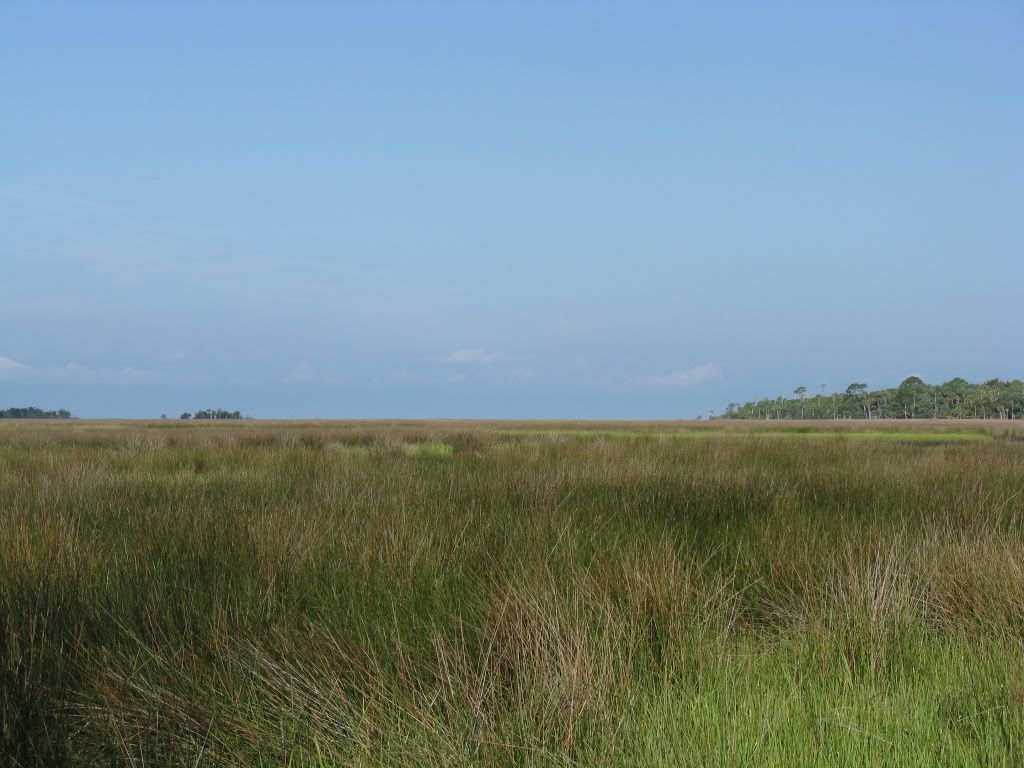 IMG_0500.jpg