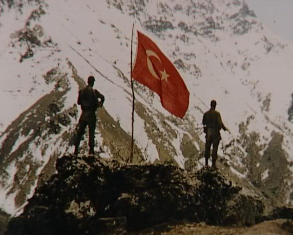 115.jpg