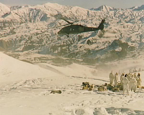 129.jpg
