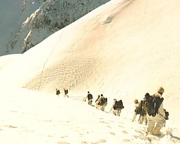 134.jpg