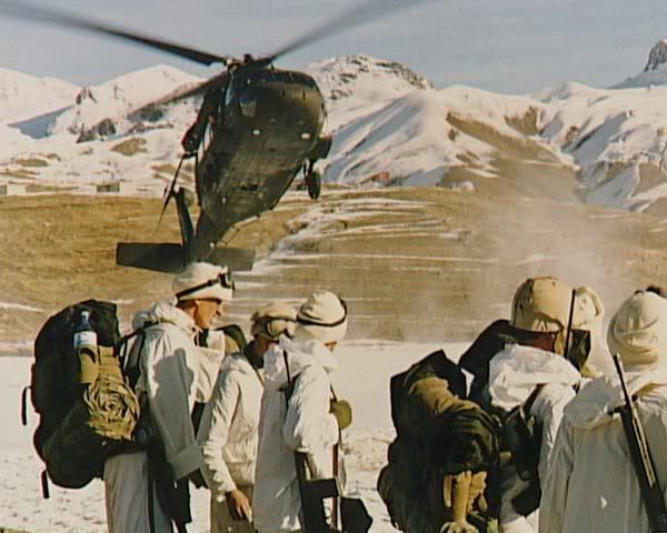 135.jpg