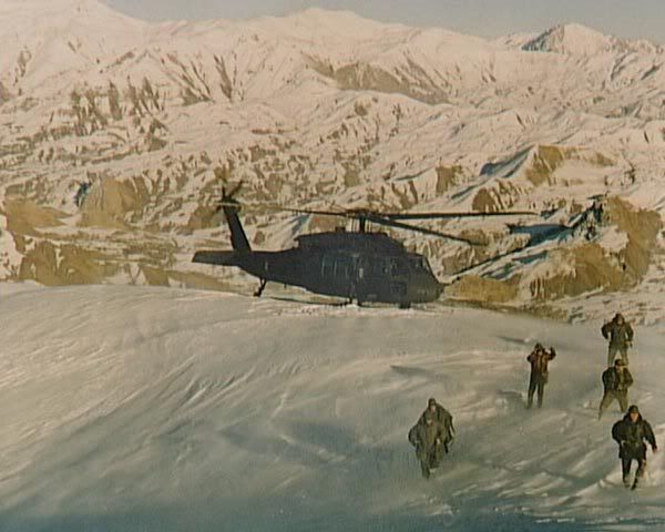 138.jpg