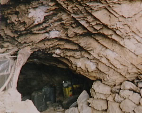 149.jpg