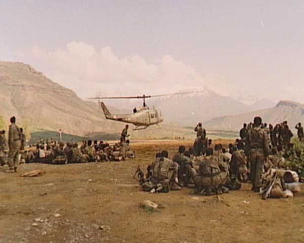 164.jpg
