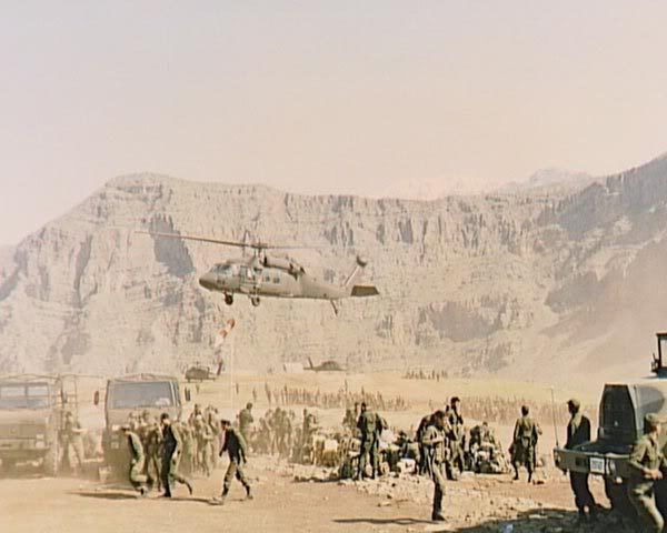 169.jpg