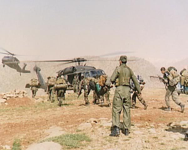 173.jpg