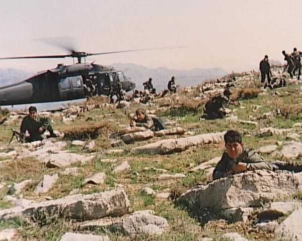 175.jpg