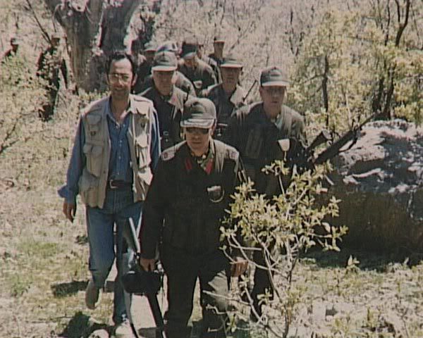 177.jpg