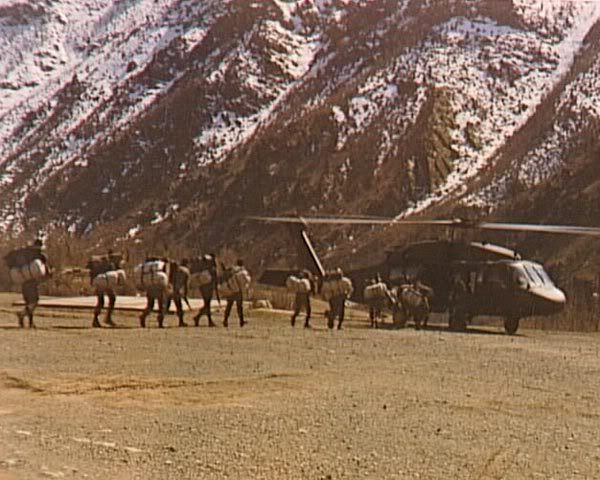 183.jpg
