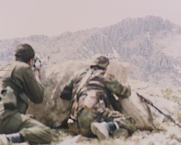 185.jpg