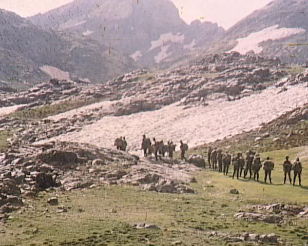 191.jpg