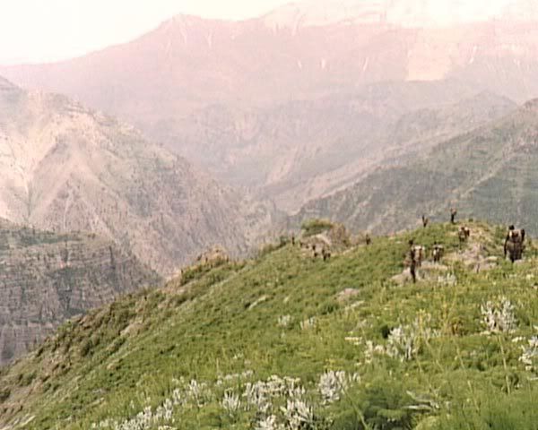 192.jpg