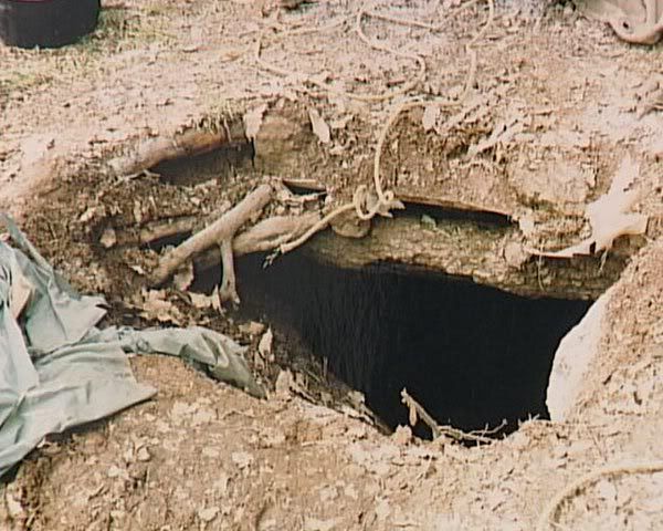 193.jpg