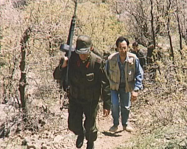 194.jpg