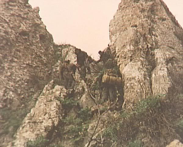 195.jpg