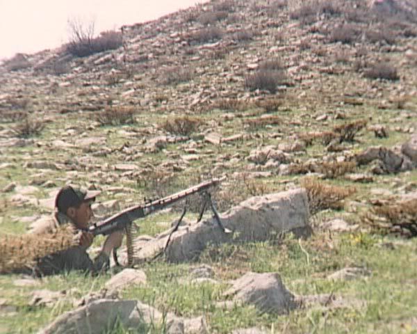 196.jpg