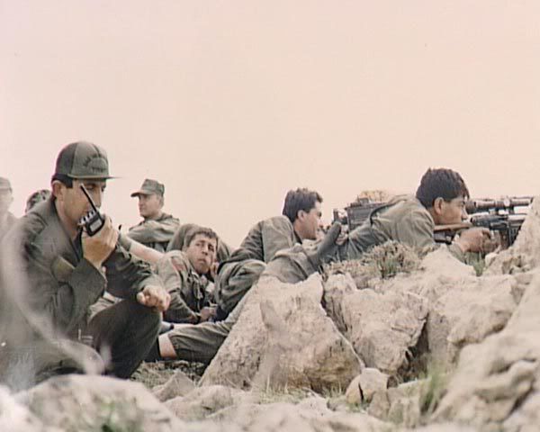 197.jpg