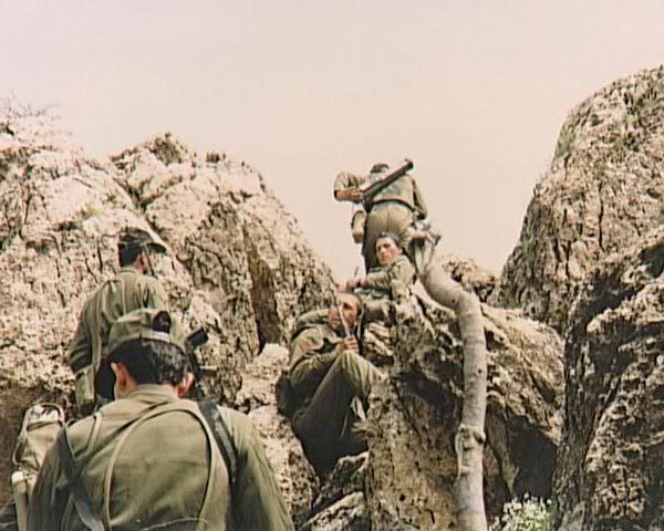 198.jpg