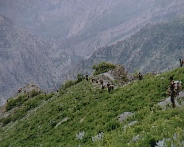 56.jpg