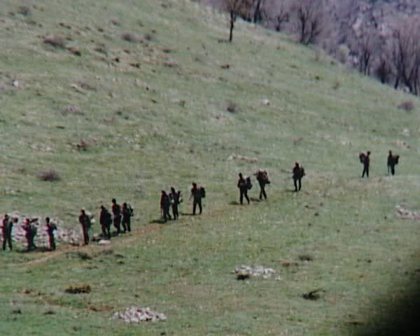 59.jpg