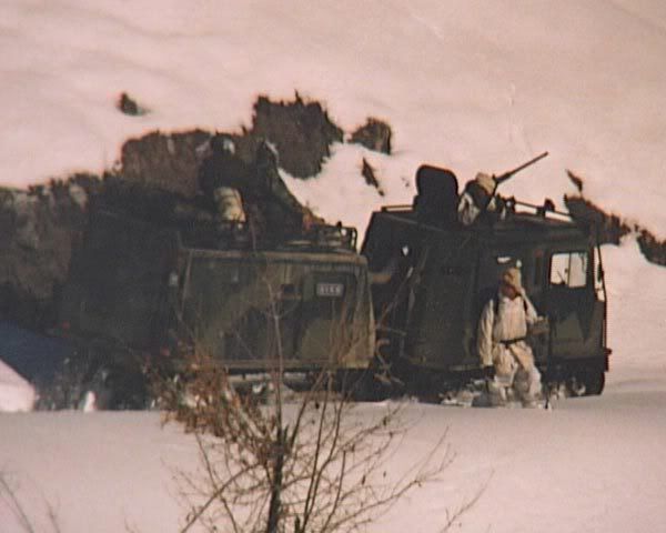 63.jpg