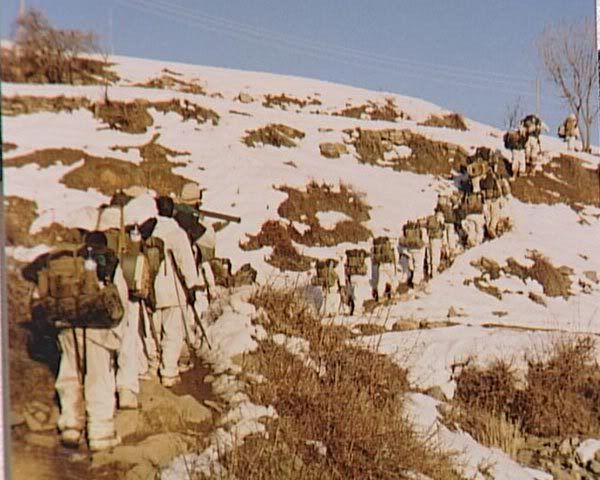 71.jpg