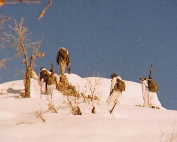 75.jpg