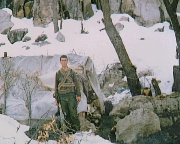 81.jpg