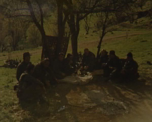 87.jpg