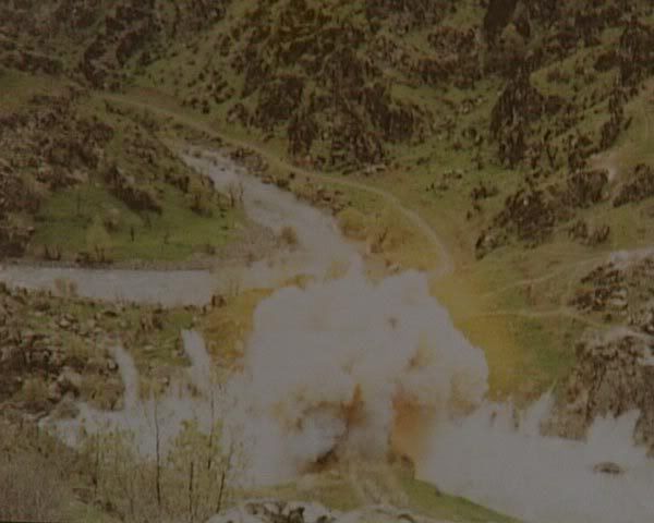 98.jpg