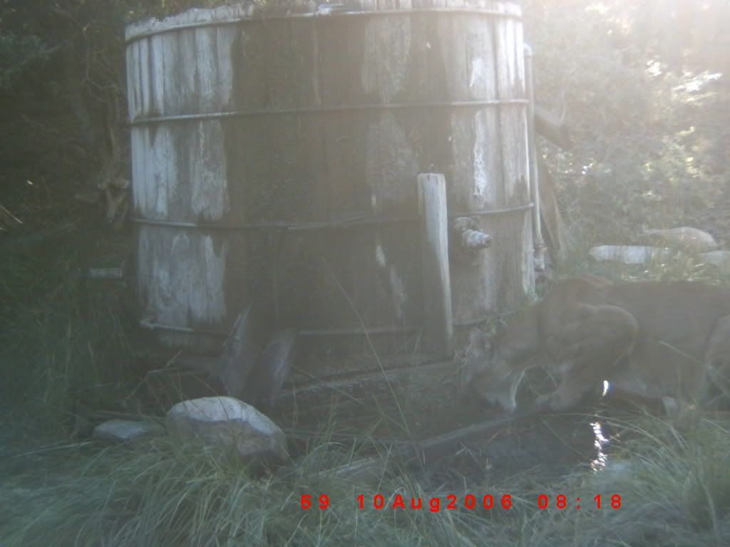 TrailCamera008.jpg