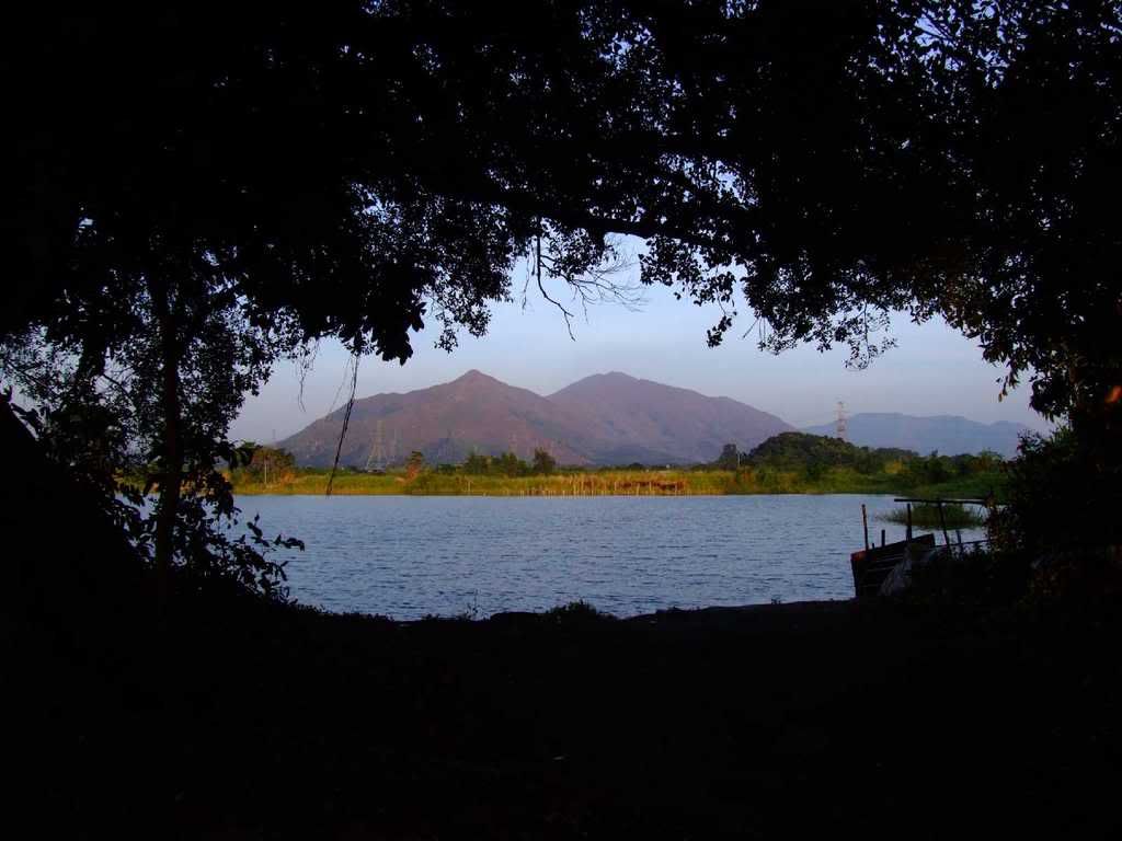 Photo Sharing and Video Hosting at Photobucket