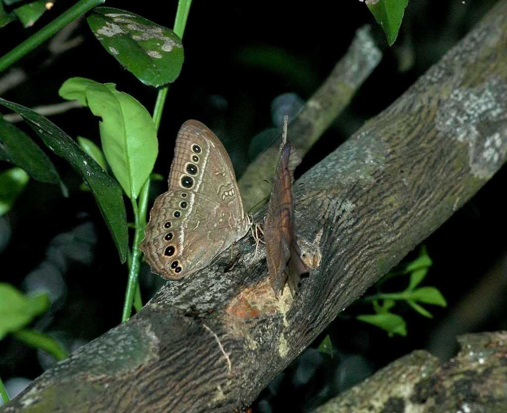 Photo Sharing and Video Hosting at Photobucket