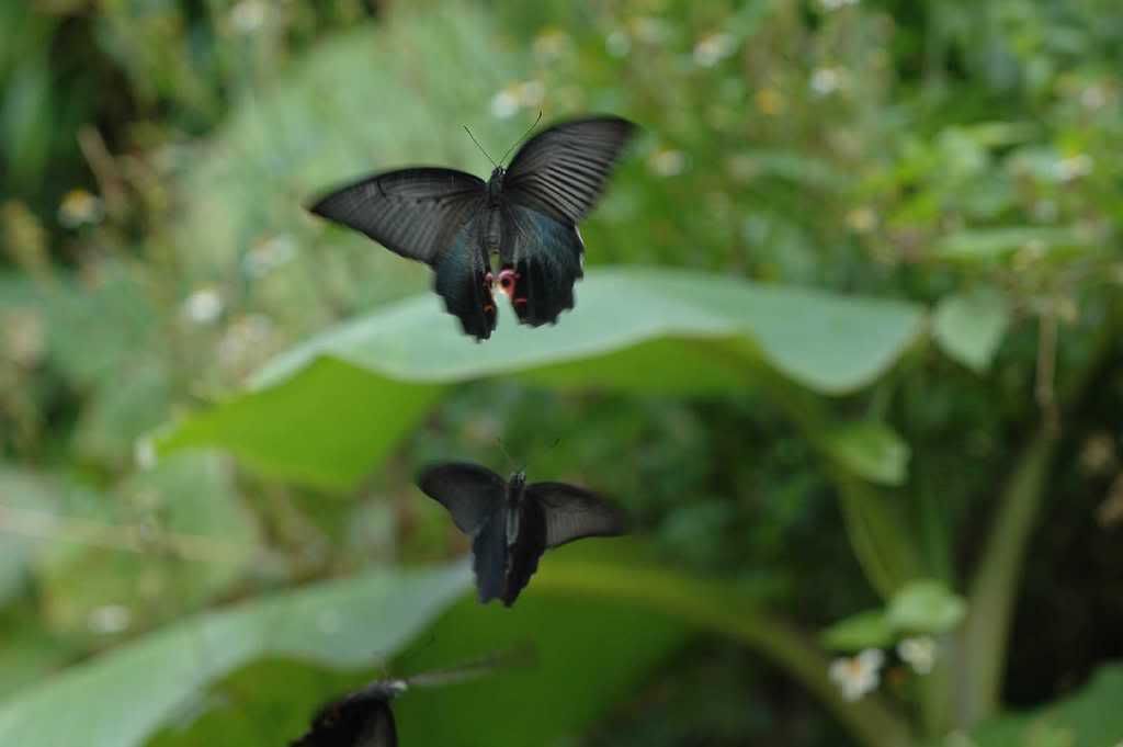 Photo Sharing and Video Hosting at Photobucket