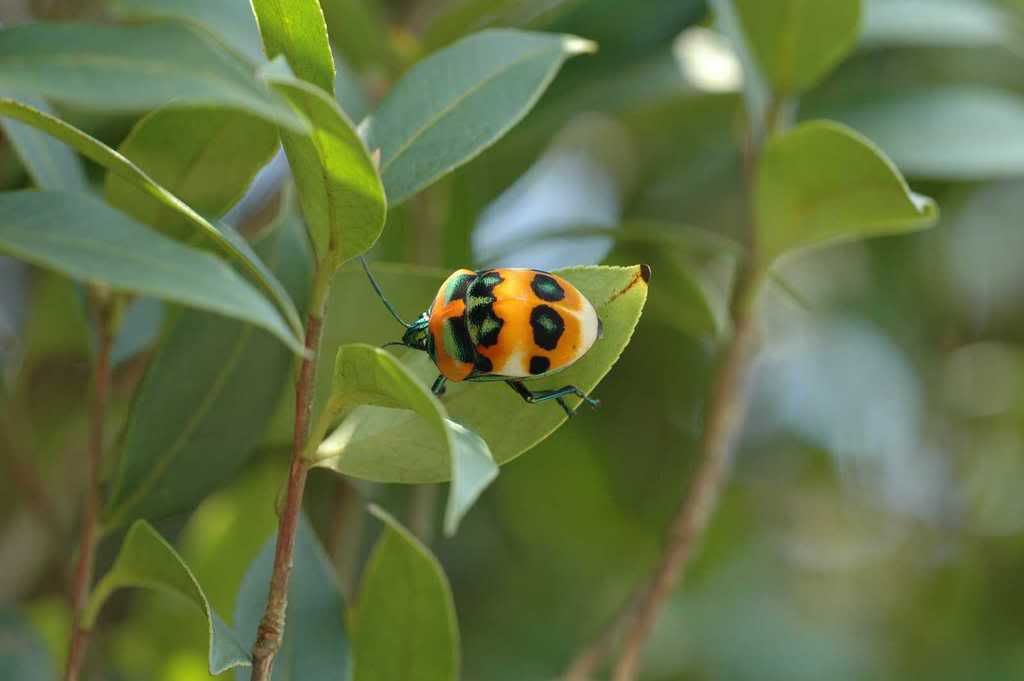 Photo Sharing and Video Hosting at Photobucket