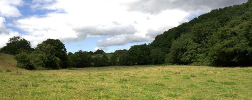 The land at Greenham Reach