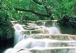 Stream