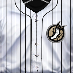 whitesox-concept.png