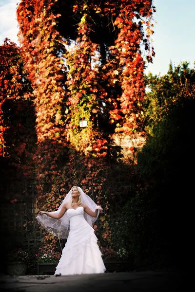 autumn wedding Pictures, Images and Photos